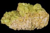 Sulfur Crystal Cluster on Matrix - Nevada #69156-1